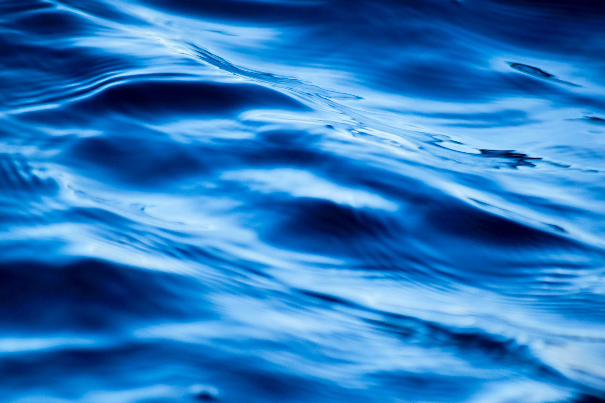 vansh-juneja-RtPFXUabsBA-unsplash